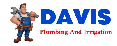 Trusted plumber in LORIS